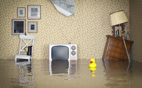 Homeowner’s Insurance – Are You Really Covered?